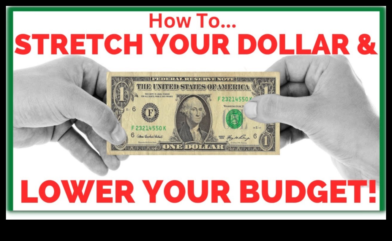 Dime Discoveries: Unveiling Budget-Friendly Wonders