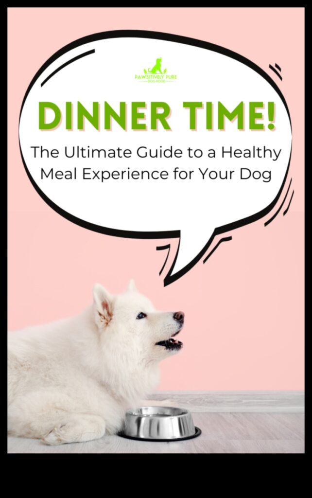 Dinnertime Delights Enhancing Your Pet's Mealtime Experience 1