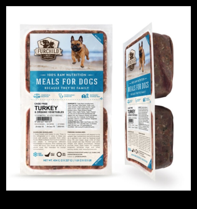 Dinnertime Delights: Enhancing Your Pet's Mealtime Experience