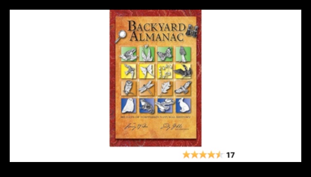 Discover Your Backyard: A Local Attractions Almanac