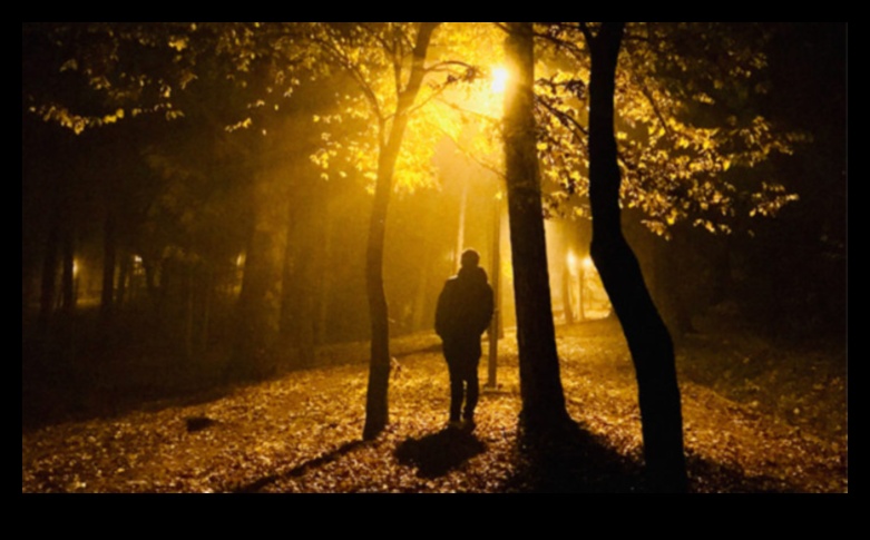 DiscoverDestiny: Your Path to Perfect Journeys Starts with Us