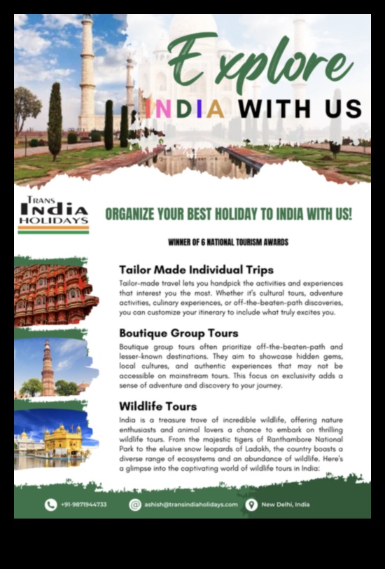 Discovering Diversity A Traveler's Journey Through the World's Cultures 1