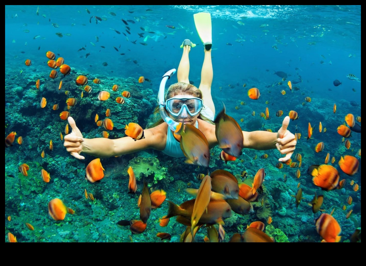 Dive into Discovery: Unraveling the Wonders of Marine Biodiversity