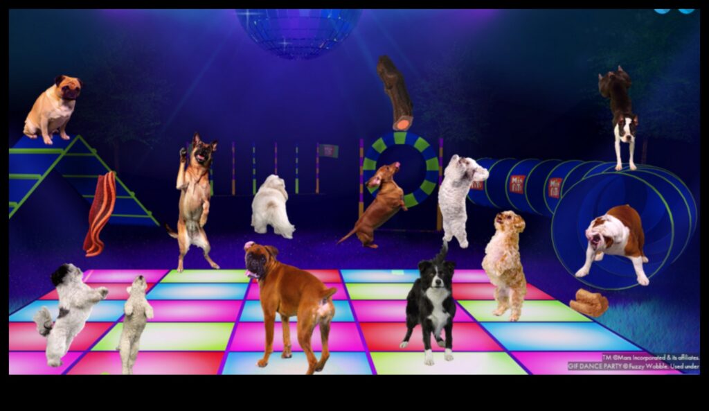 Doggy Dance Party Grooving to Music with Your Pup 1