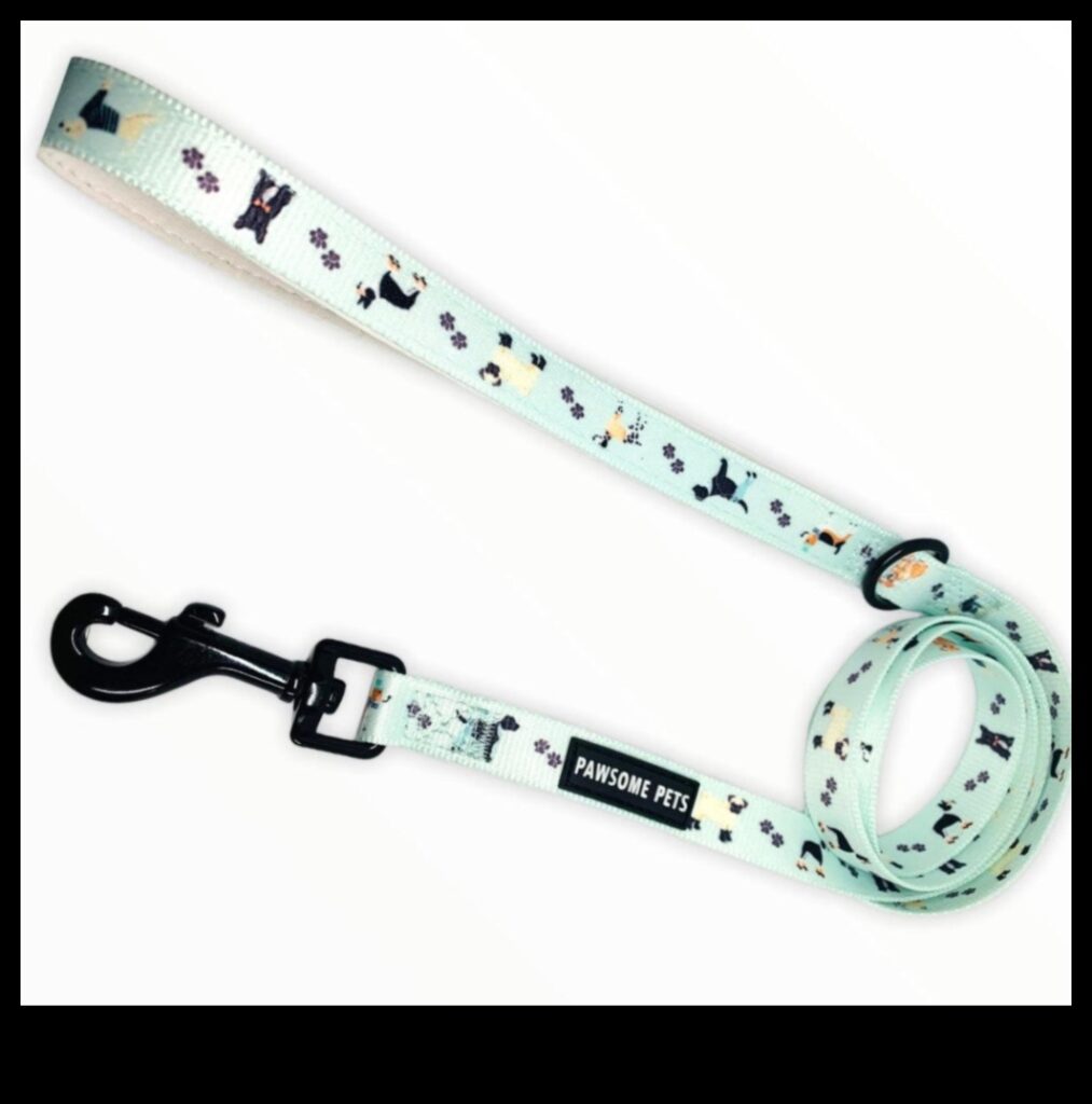 Doggy Dapper A Pawsome Collection of Chic Collars, Leashes, and More 1