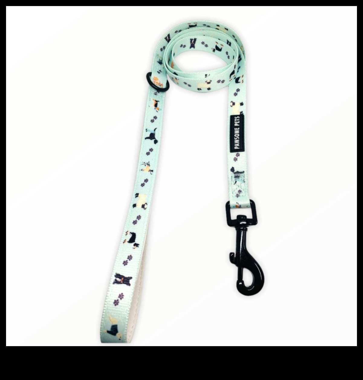 Doggy Dapper: Classy Accessories for the Well-Dressed Dog