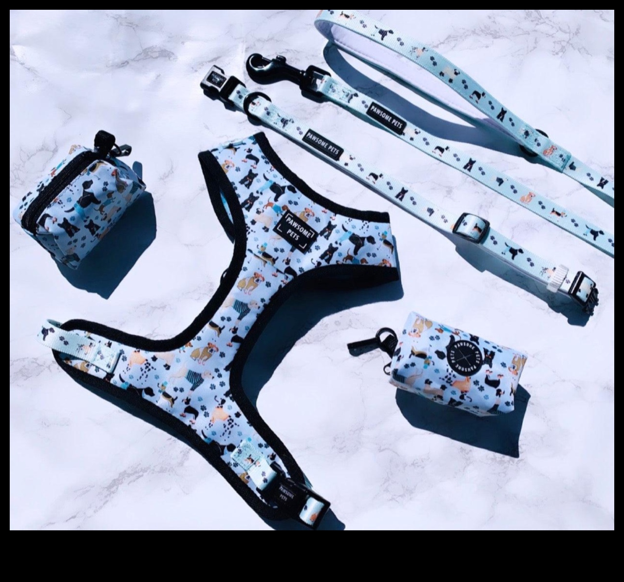 Doggy Dapper: Classy Accessories for the Well-Dressed Dog