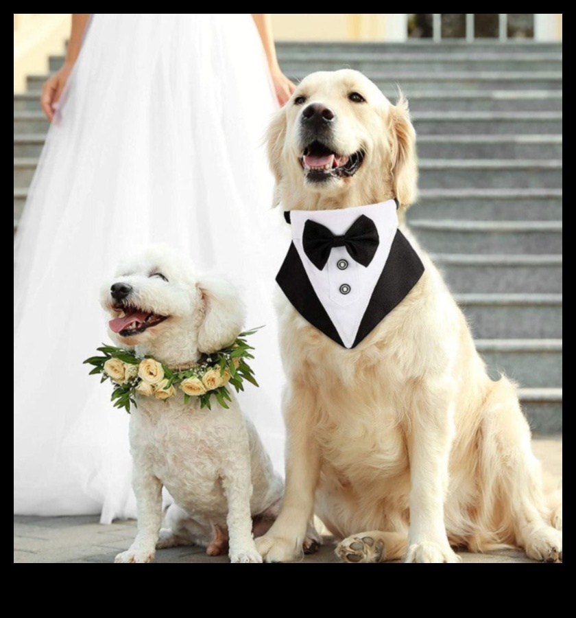 Doggy Dapper: Classy Accessories for the Well-Dressed Dog