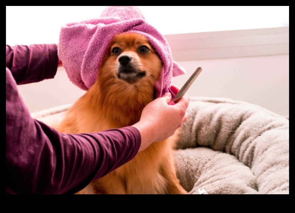Doggy Day Spa: Pampering Your Pup with DIY Grooming