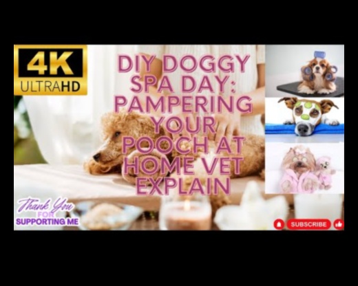Doggy Day Spa: Pampering Your Pup with DIY Grooming
