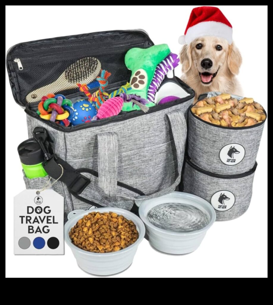 Doggy Decor Continued 7 Ways to Refresh Your Dog's Accessory Collection 1