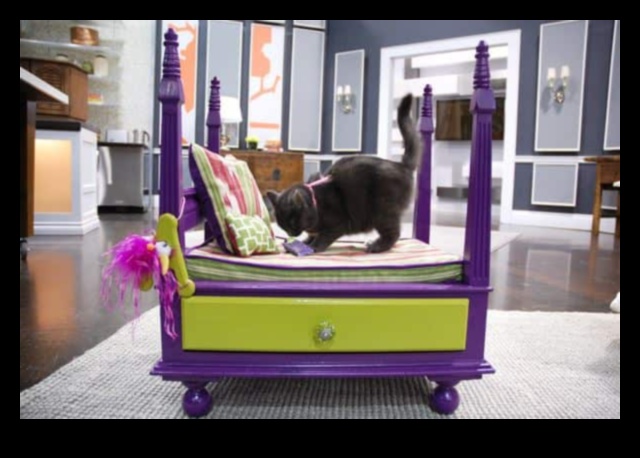 Doggy Decor DIY: Enhancing Your Home for Your Furry Friend