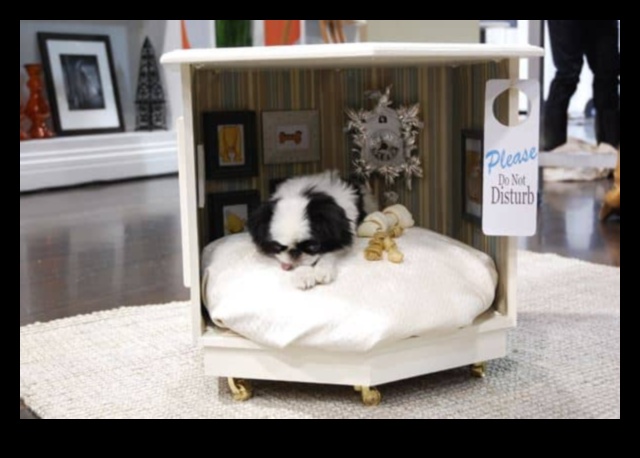 Doggy Decor DIY: Enhancing Your Home for Your Furry Friend