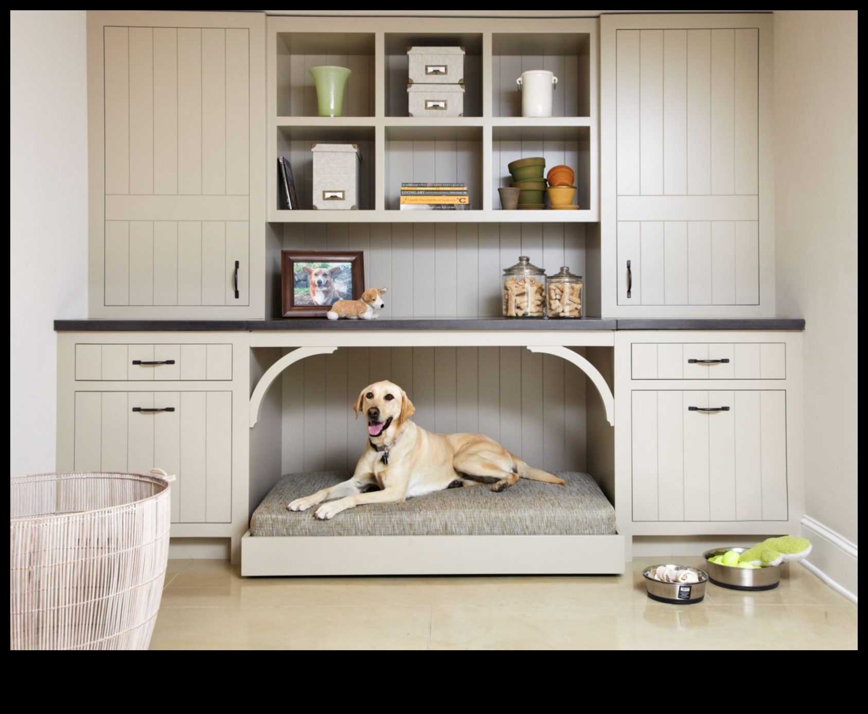 Doggy Decor DIY: Enhancing Your Home for Your Furry Friend