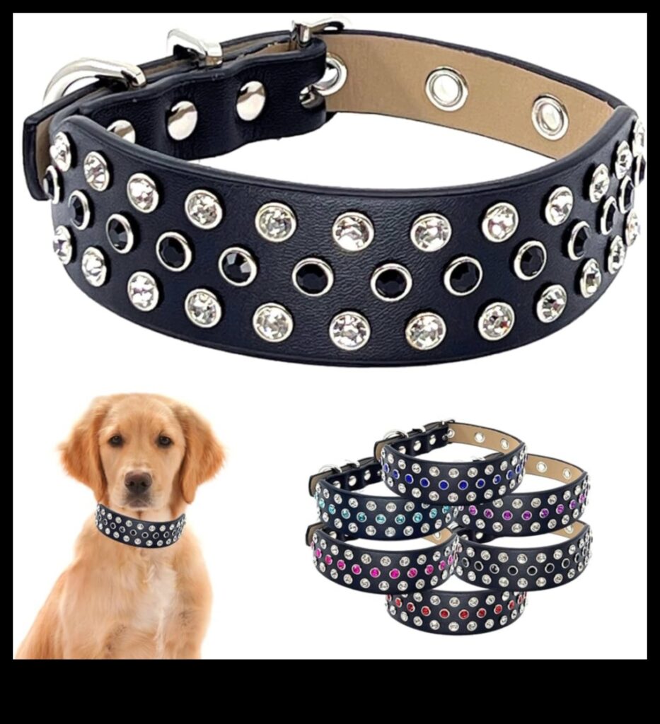 Doggy Decor Dazzle How to Upgrade Your Dog's Style with the Latest Accessories 1