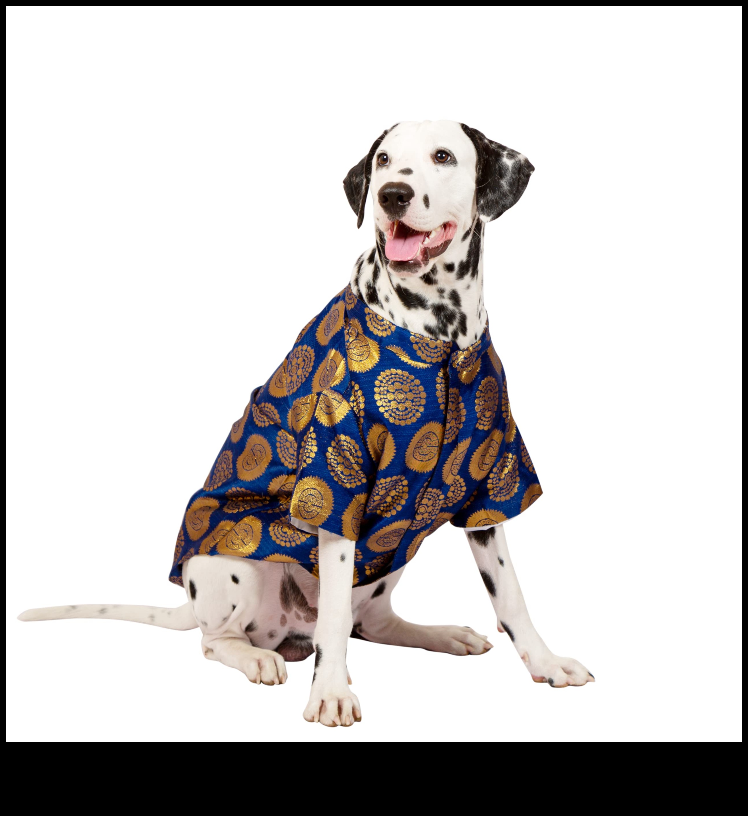 Doggy Decor Dazzle: Upgrading Your Dog's Style with the Latest Accessories