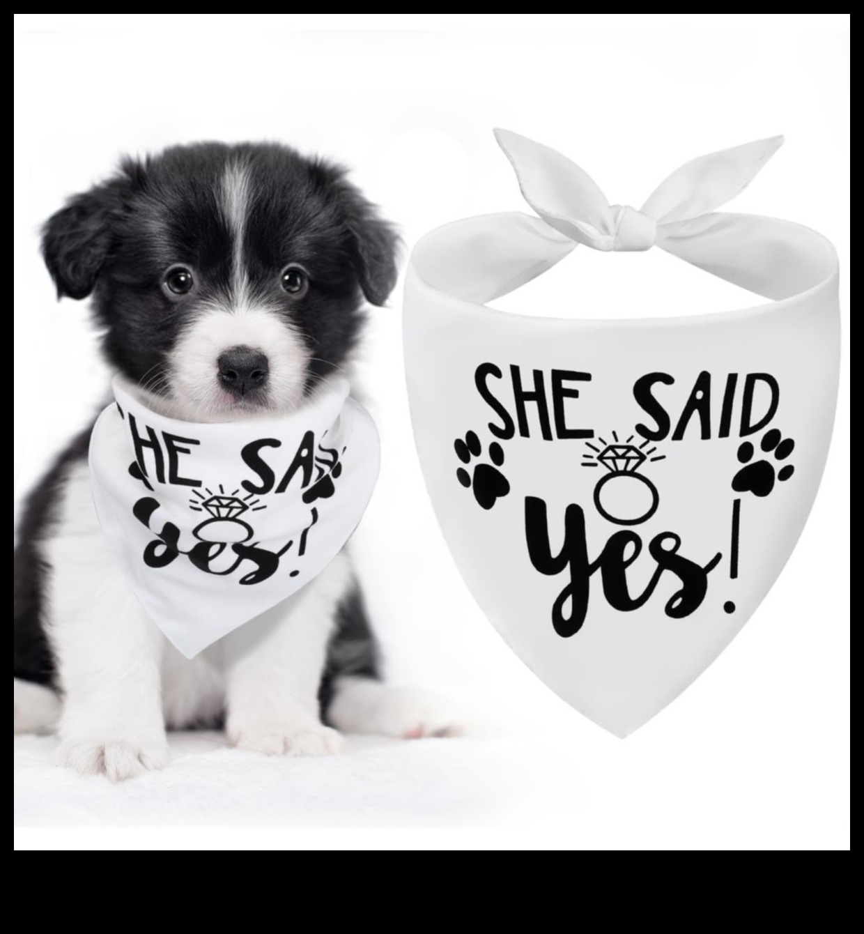 Doggy Decor Dazzle: Upgrading Your Dog's Style with the Latest Accessories