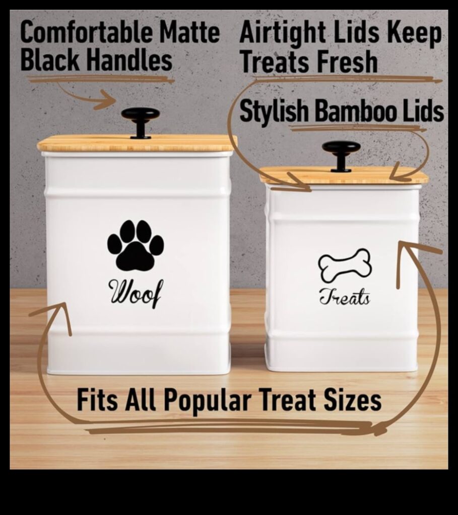 Doggy Decor Deluxe How to Keep Your Accessory Collection Fresh and Fabulous 1
