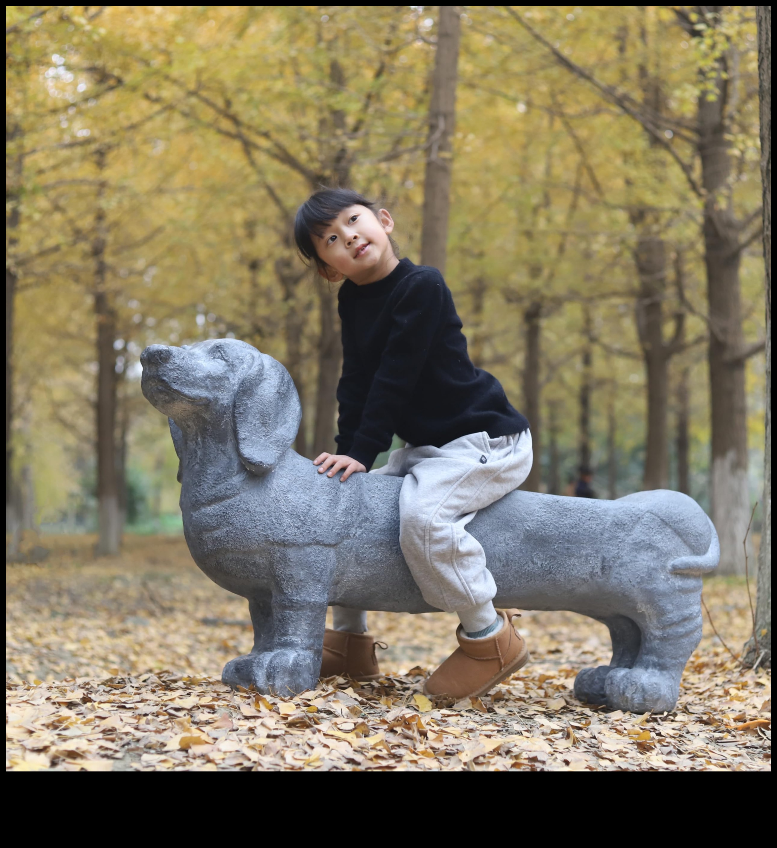 Doggy Decor Deluxe: Maintaining a Fresh and Fabulous Accessory Collection