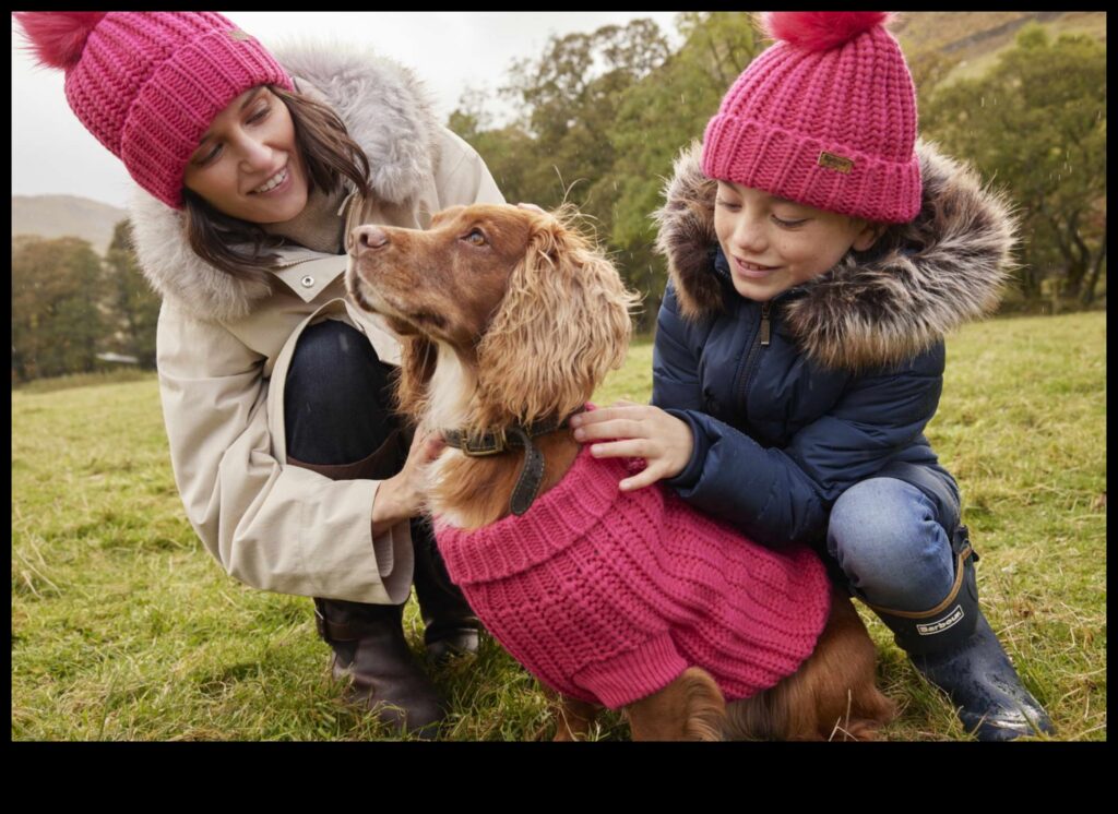 Doggy Decor Stylish & Functional Accessories for Your Furry Friend 1