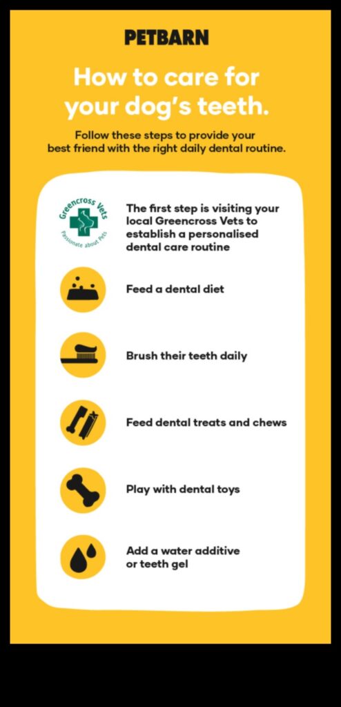 Doggy Dental Care Continued Fun and Effective Teeth-Cleaning Tips 1