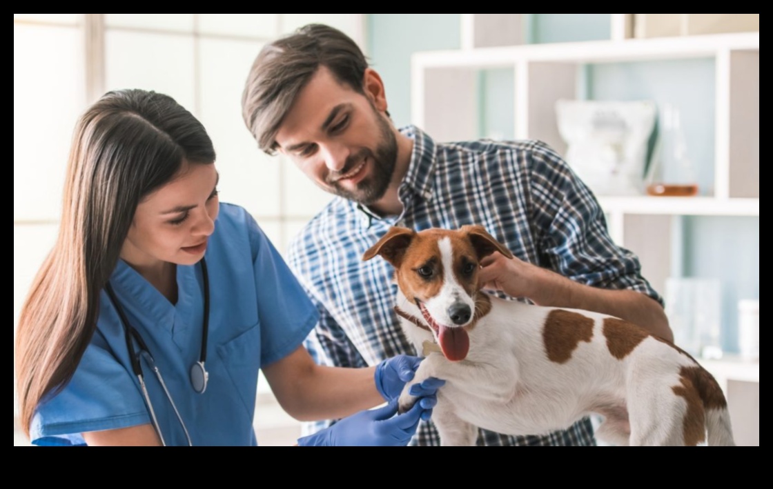Doggy Dental Care Continued: The Importance of Regular Checkups