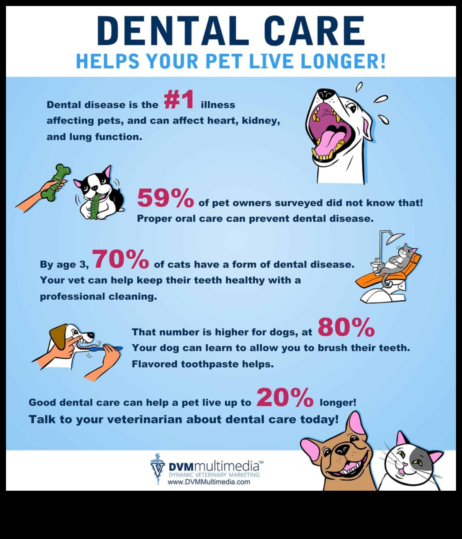 Doggy Dental Care: Maintaining Your Dog's Oral Health