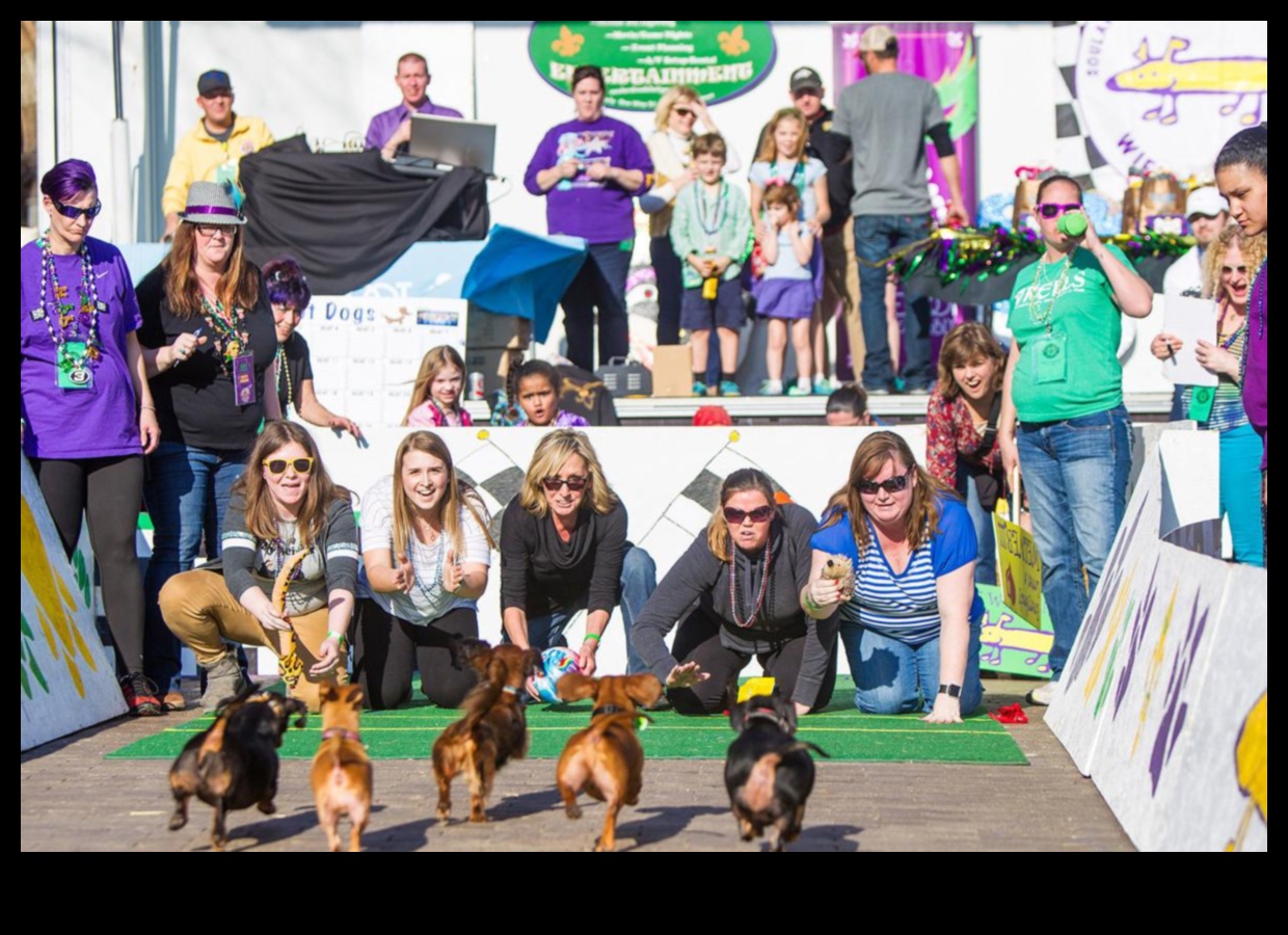 Doggy Derby: Racing Fun for Energetic Pups