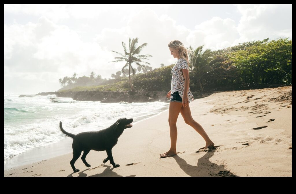 Doggy Destinations Planning the Perfect Pet-Friendly Getaway 1