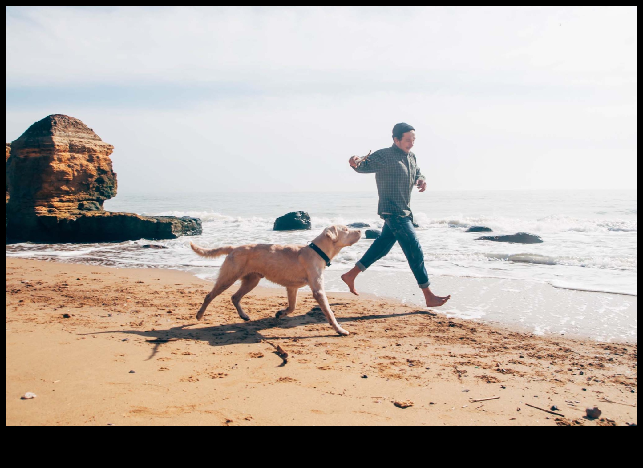 Doggy Destinations: Planning the Perfect Pet-Friendly Getaway