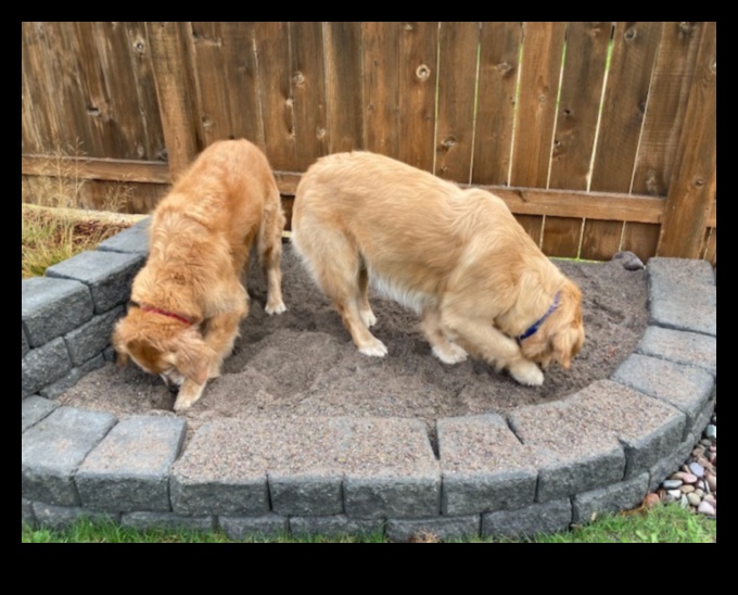 Doggy Digging Day: Creating a Digging Pit for Canine Fun