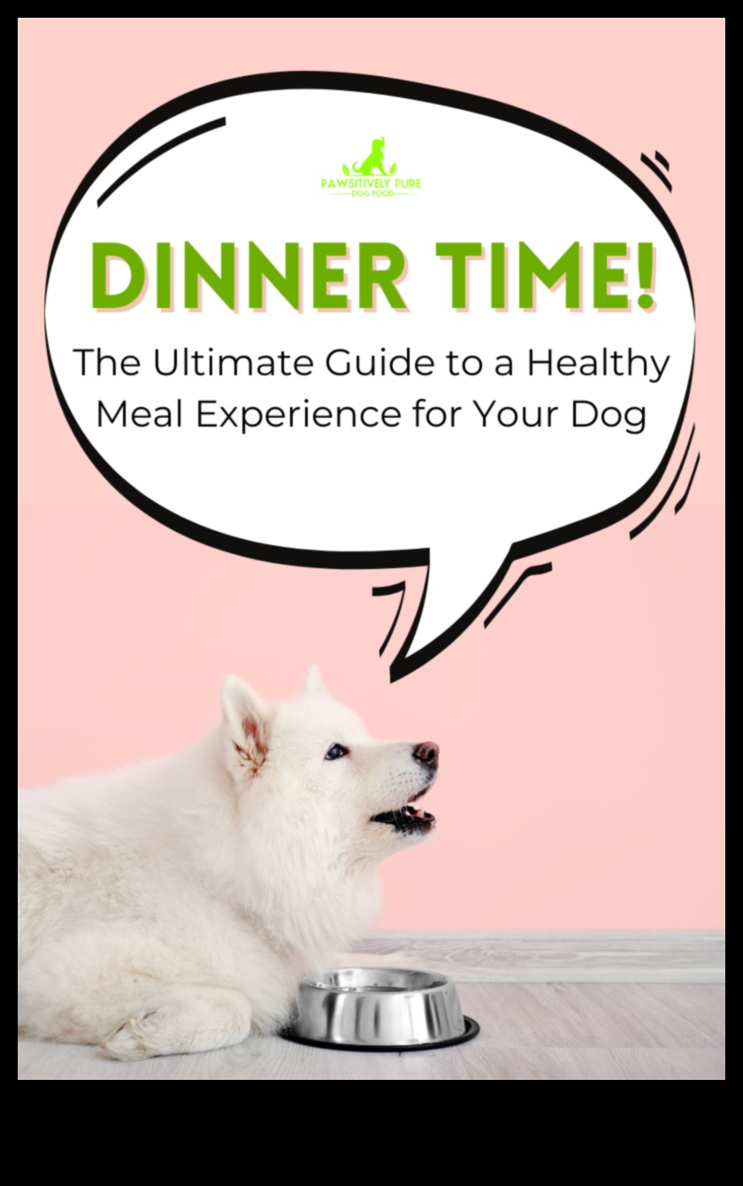 Doggy Dining: Creating a Canine-Friendly Mealtime Experience