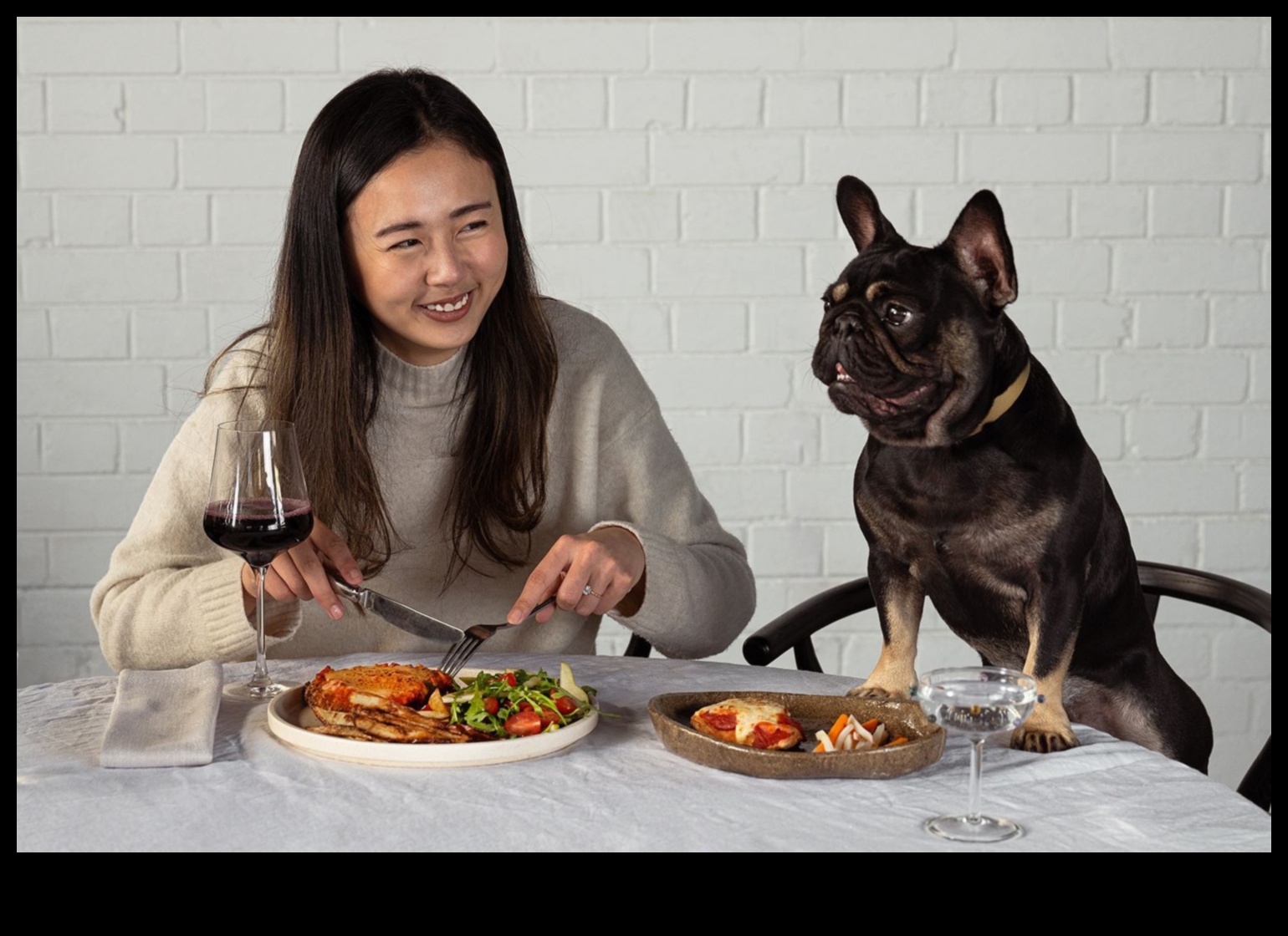 Doggy Dining: Creating a Canine-Friendly Mealtime Experience