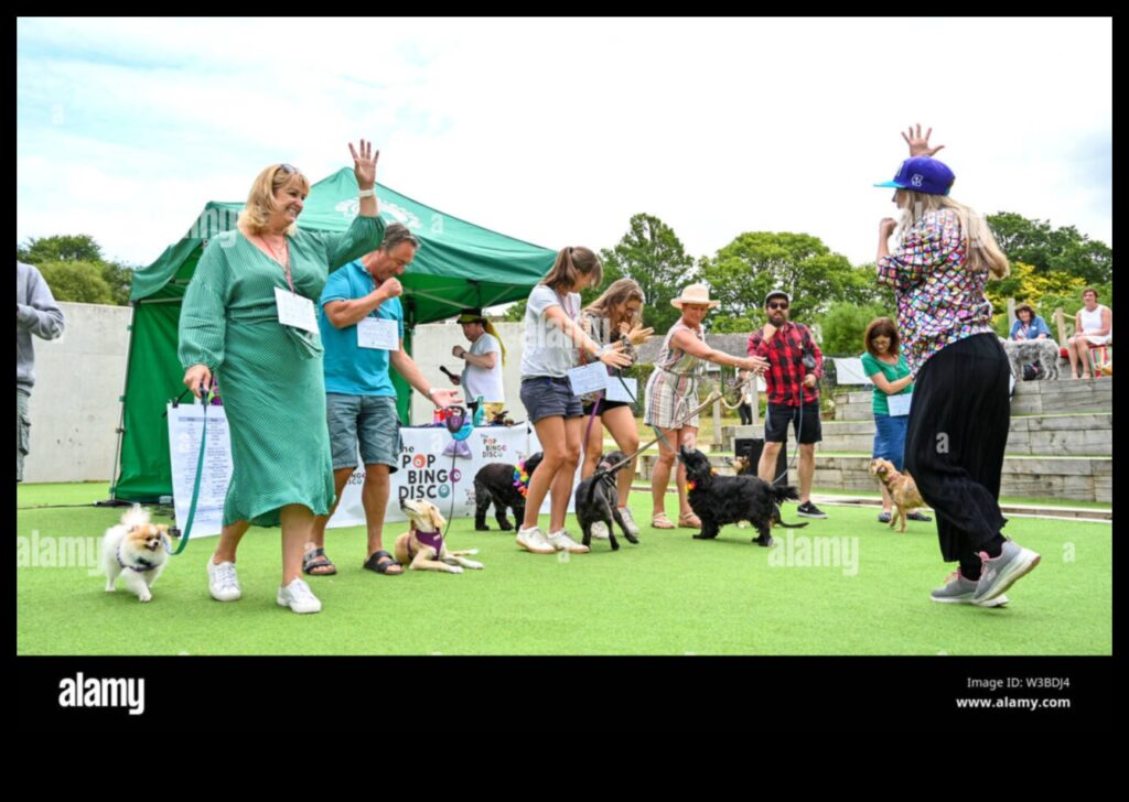 Doggy Disco Dancing Fun for Dogs and Owners 1