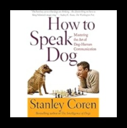 Doggy Discourse: Navigating the Art of Dog Communication