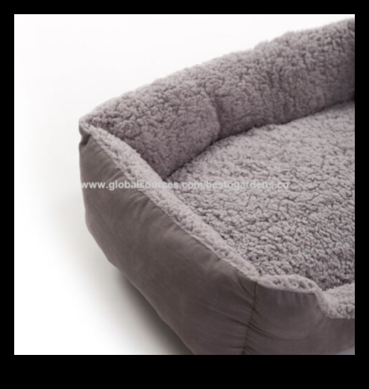 Doggy Dreamland Creating a Comfortable Sleeping Space 1