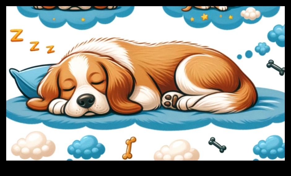 Doggy Dreams Understanding Canine Sleep Patterns 1