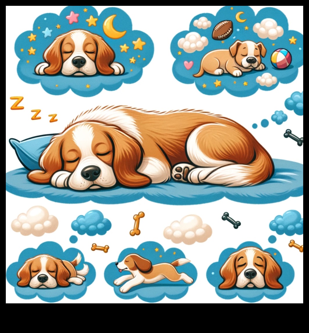 Doggy Dreams: Understanding Canine Sleep Patterns