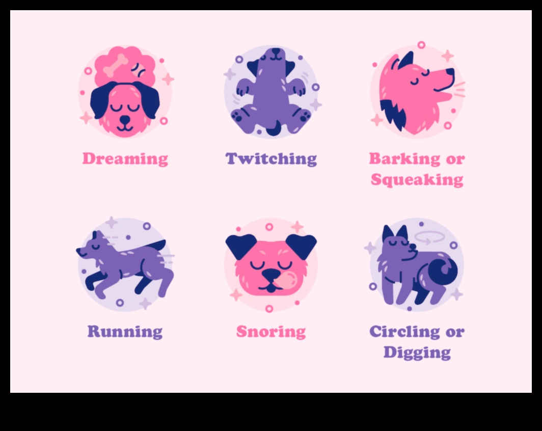 Doggy Dreams: Understanding Canine Sleep Patterns