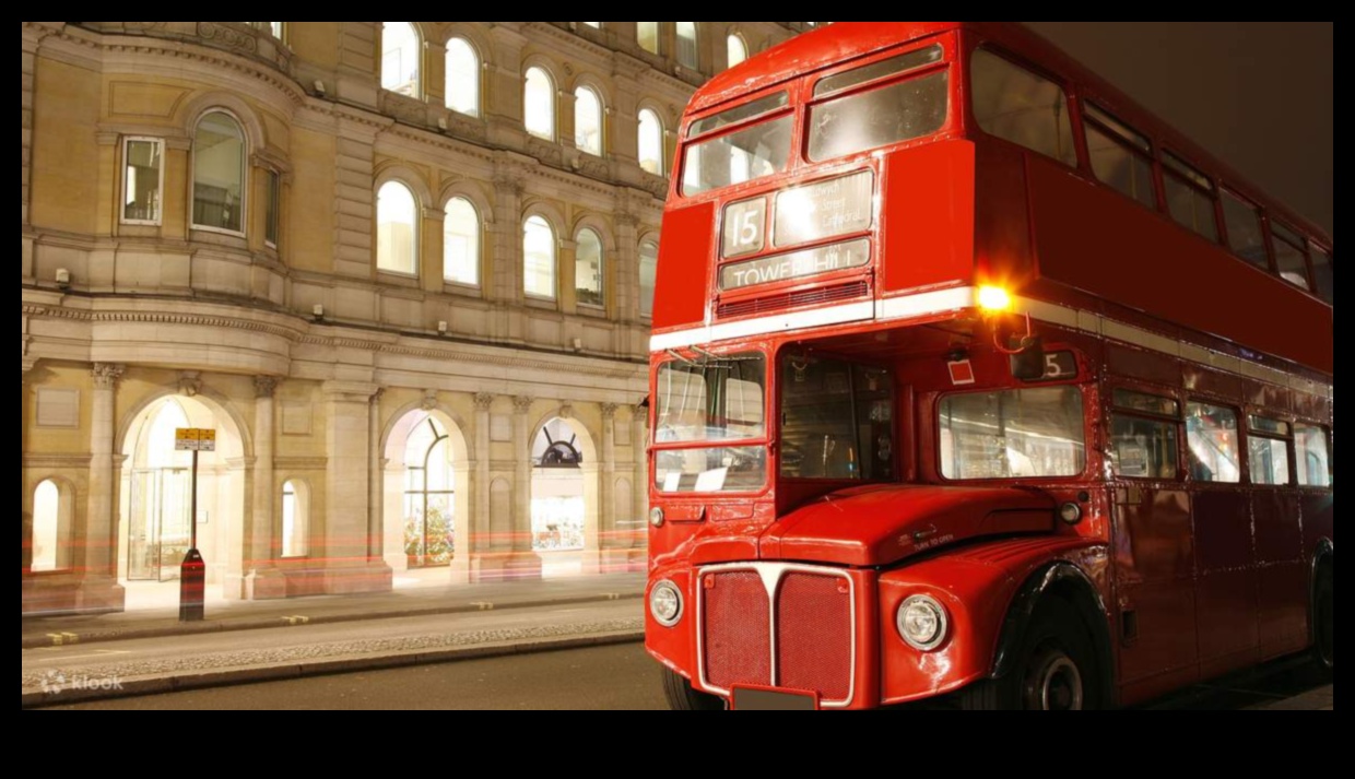 Double-Decker Diaries: Tales from Open-Top Bus Adventures