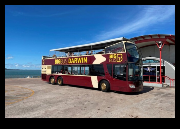 Double-Decker Diaries: Tales from Open-Top Bus Adventures