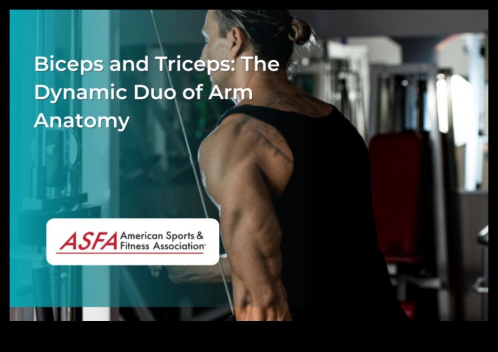 Dynamic Arm Duo Train Biceps and Triceps for Balanced Strength 1