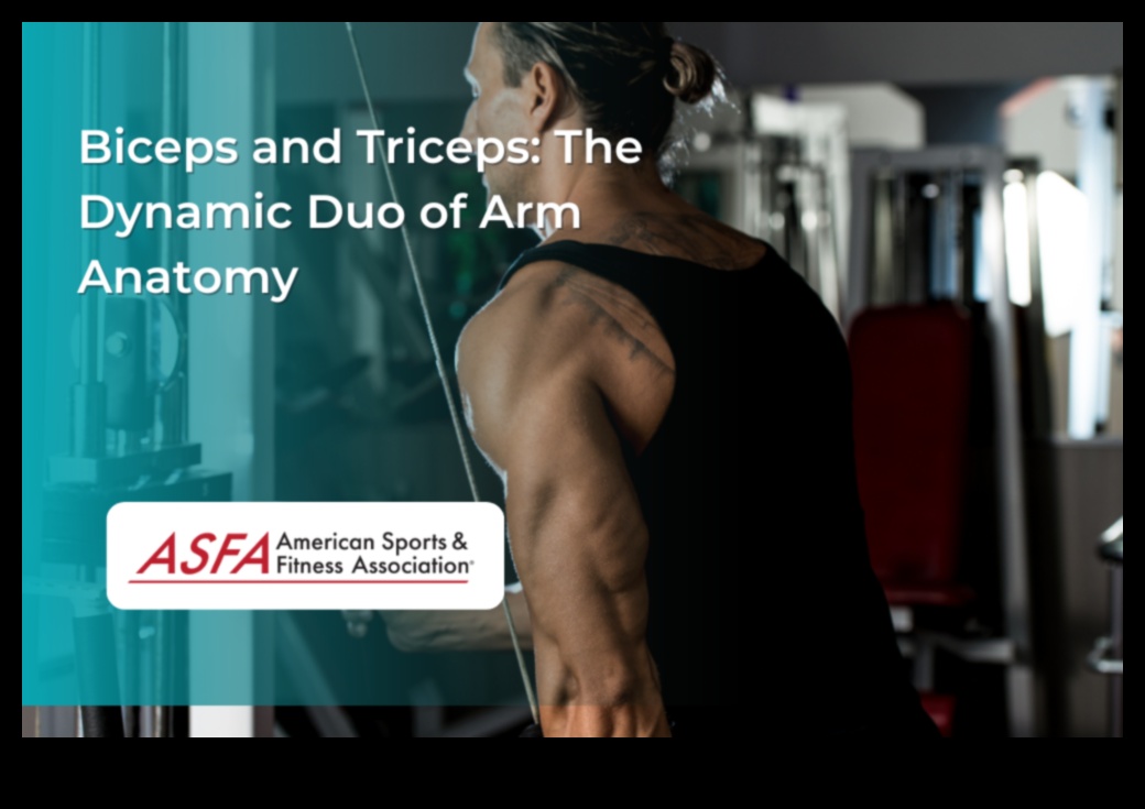 Dynamic Arm Duo: Bicep and Tricep Workouts for Balanced Strength