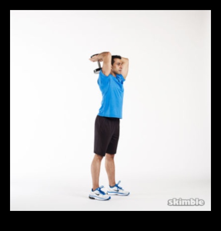 Dynamic Arm Duo: Bicep and Tricep Workouts for Balanced Strength