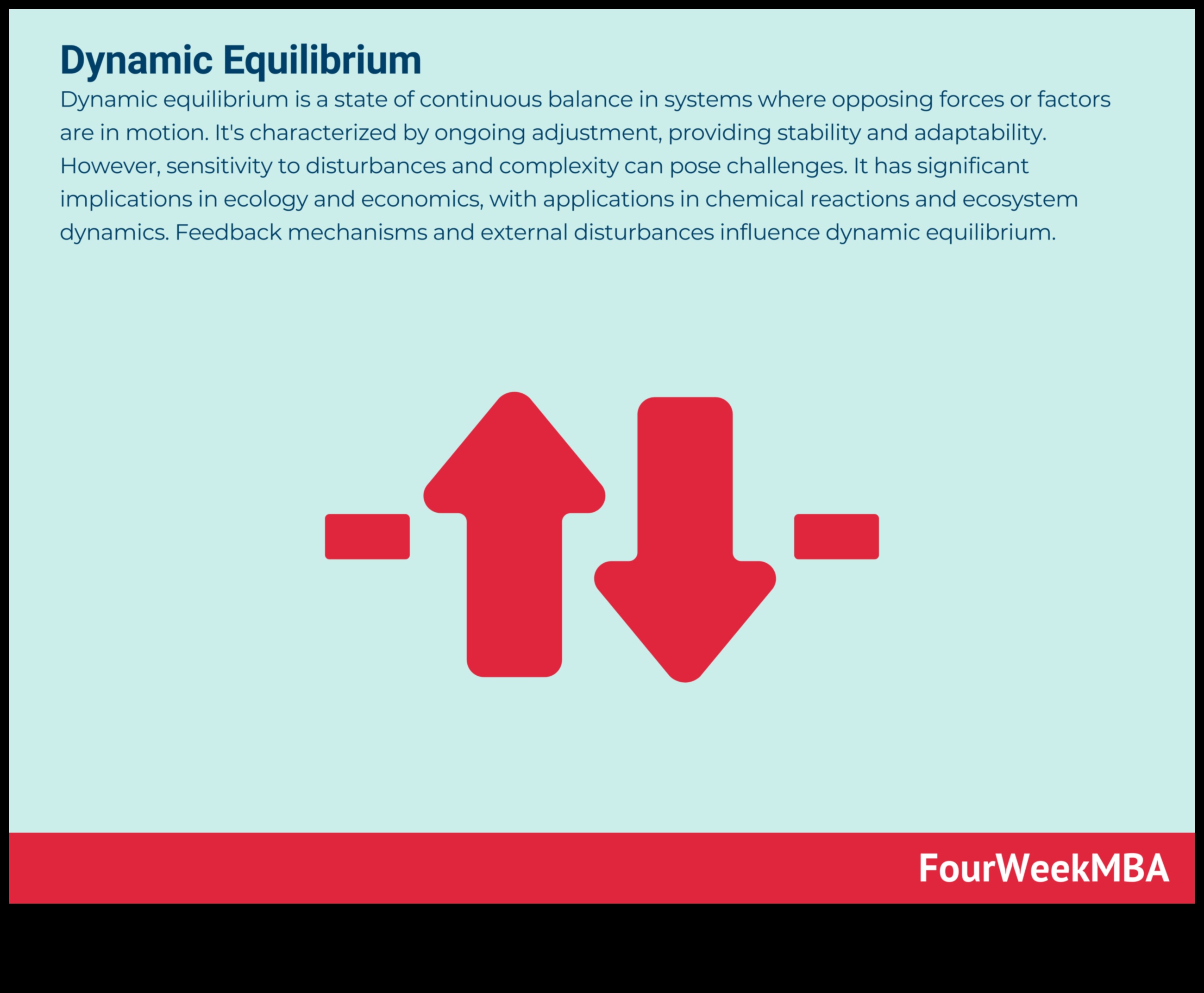 Dynamic Equilibrium: Elevating Your Fitness with Stability Workouts