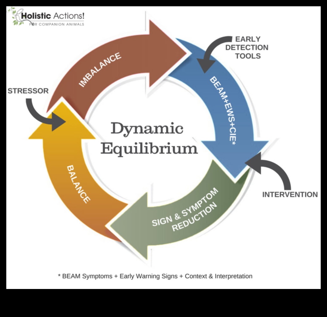 Dynamic Equilibrium: Elevating Your Fitness with Stability Workouts