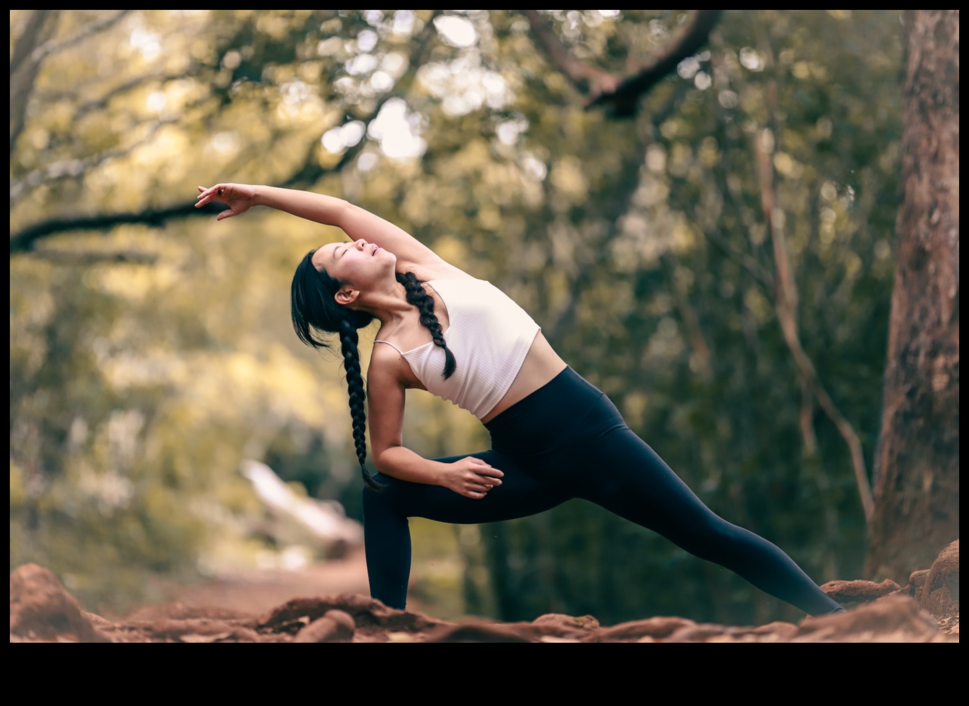 Dynamic Motion: Nurturing Flexibility for an Active and Energetic Life