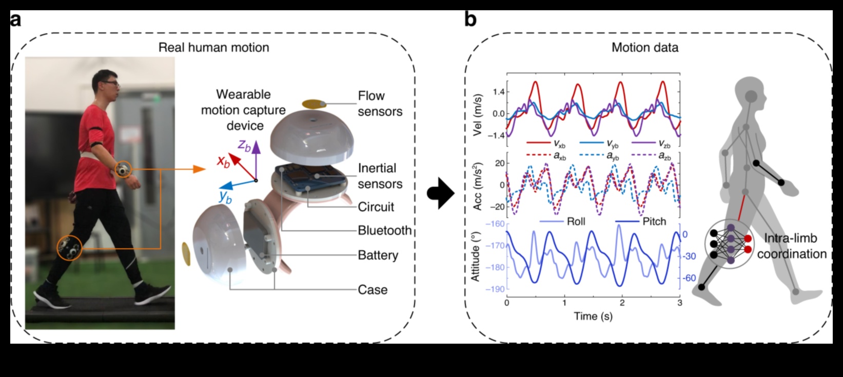 Dynamic Motion: Nurturing Flexibility for an Active and Energetic Life