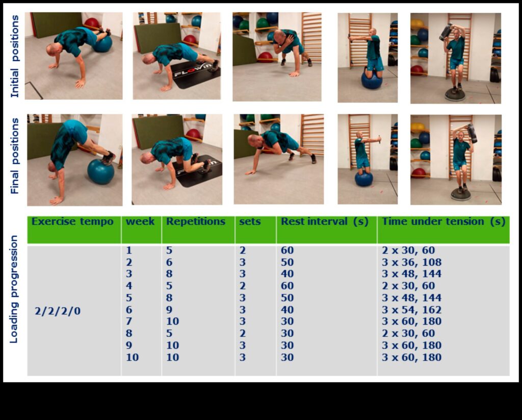 Dynamic Stability Unleash the Power of Effective Exercises to Improve Your Movement and Reduce Pain 1