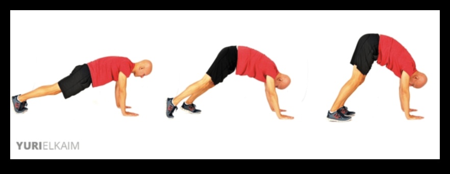 Dynamic Stretch Symphony: Harmonizing Movements for a Fluid Warm-Up